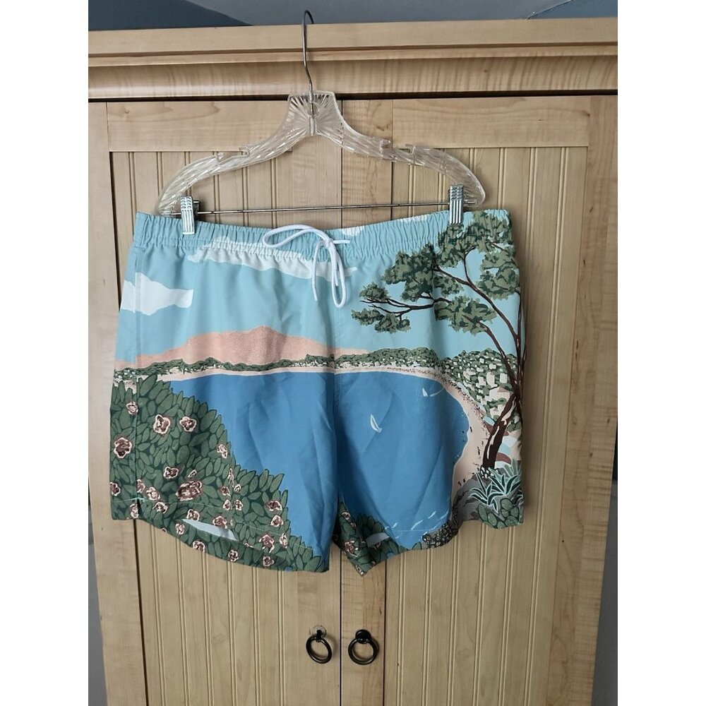 Abercrombie The A&F 5” Relaxed Trunk Swim Size XXL Vacation Painting trunks